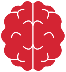 brain