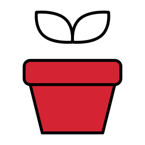 potted plant